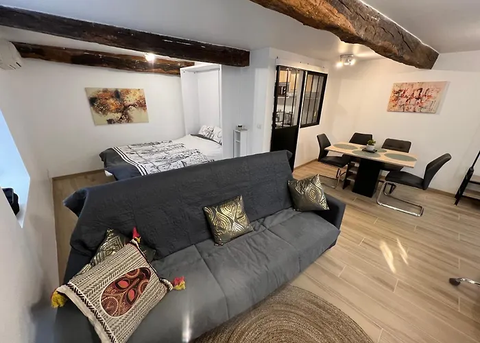 Tres Joli Loft De 40 M2 Idealement Situe