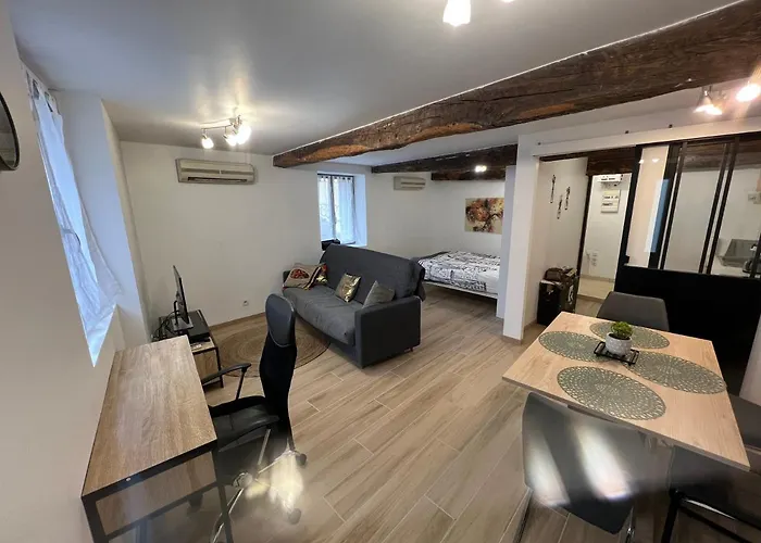 Tres Joli Loft De 40 M2 Idealement Situe